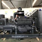 PAVO Diesel generating PWSC-GF set